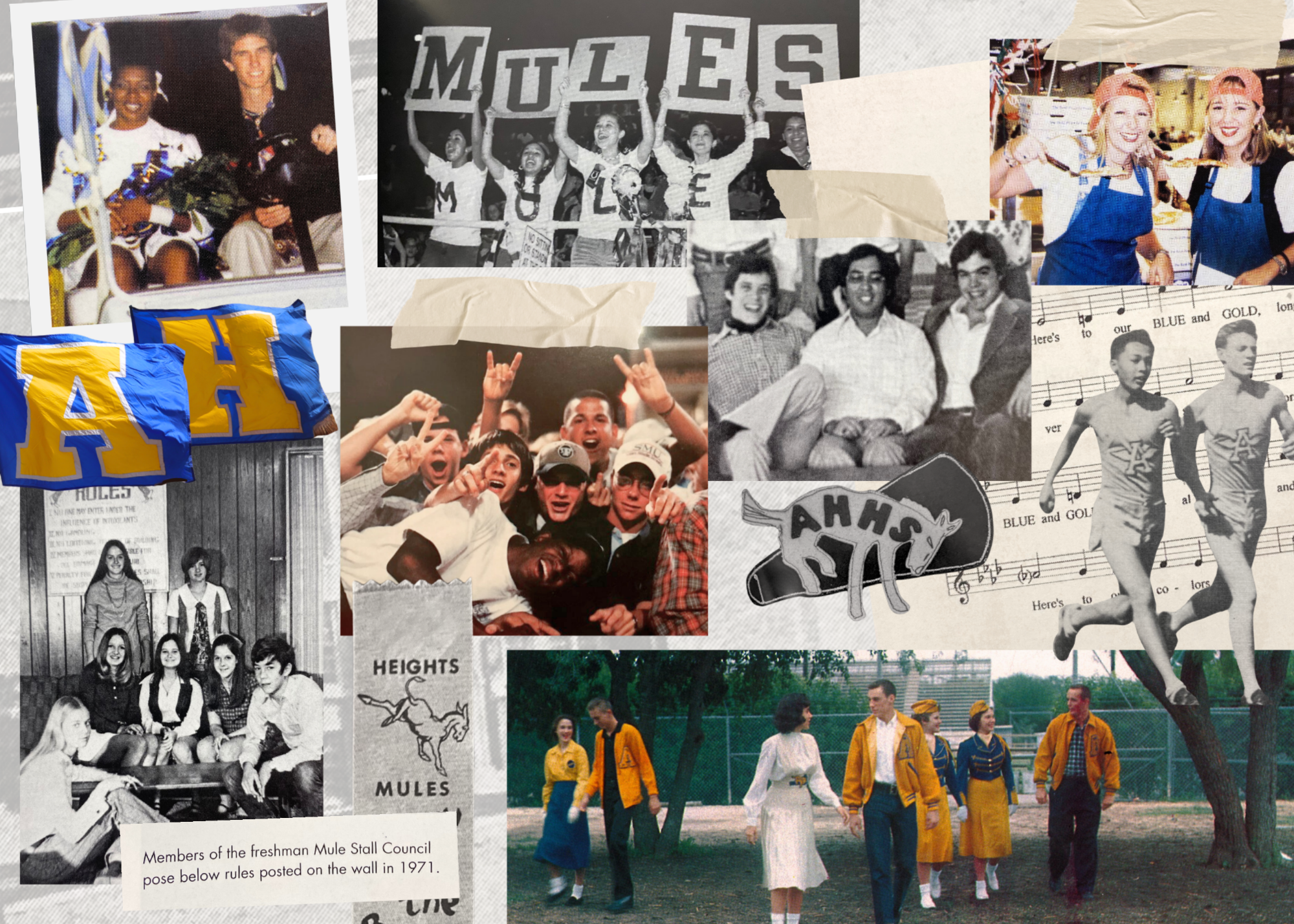 Alumni email 1 graphics
